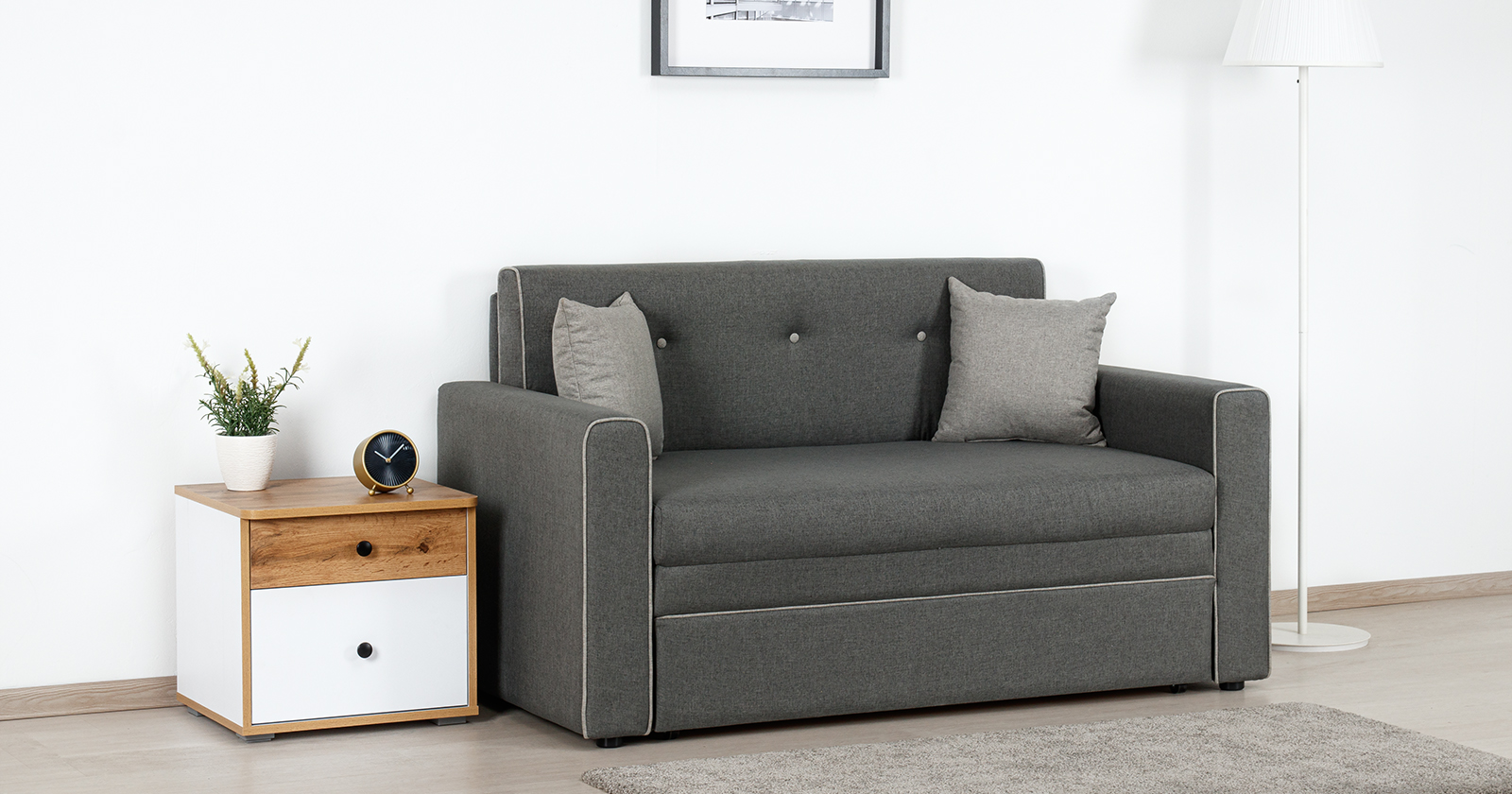 фото диван-кровать 120 найс