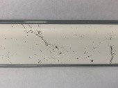 Плинтус Thermoplast Марквина белый (3028М) 3000 мм Плинтус Thermoplast Марквина белый (3028М) 3000 мм