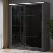 Шкаф-купе 1700 Дейра-1 